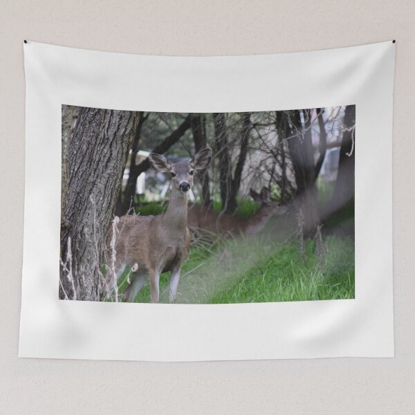 Item preview, young deer designed and sold by Kat Murphy-Nemsik.