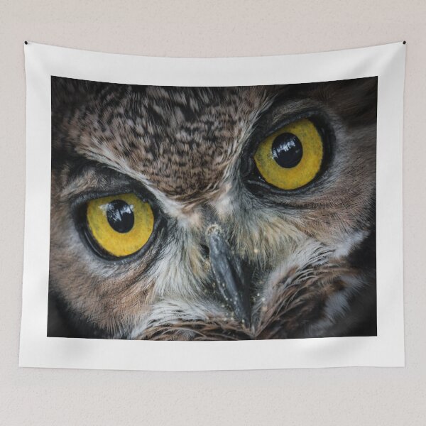 Item preview, Im watching you designed and sold by peter hayward.