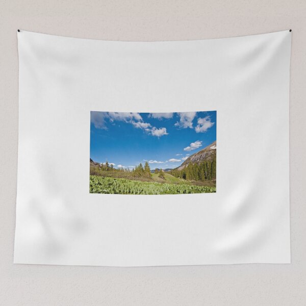 Item preview, Meadow of False Hellebore designed and sold by Jeff Goulden Photography.