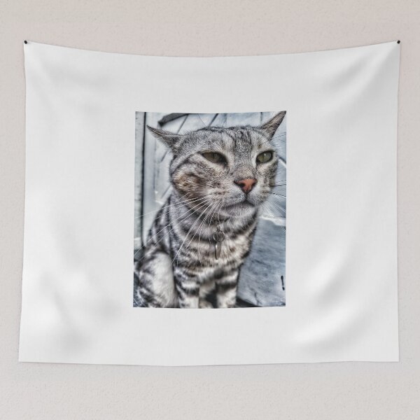 Item preview, Dexter designed and sold by TerriWatson.