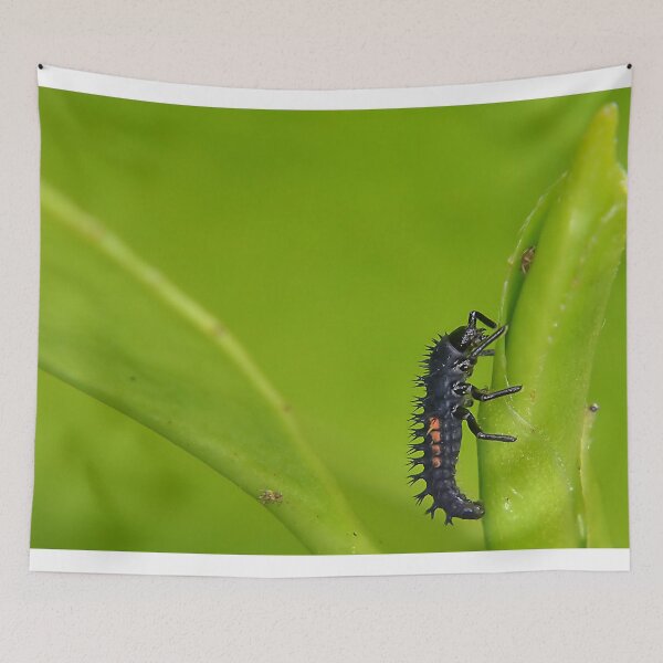 Item preview, Ladybird larva designed and sold by relayer51.