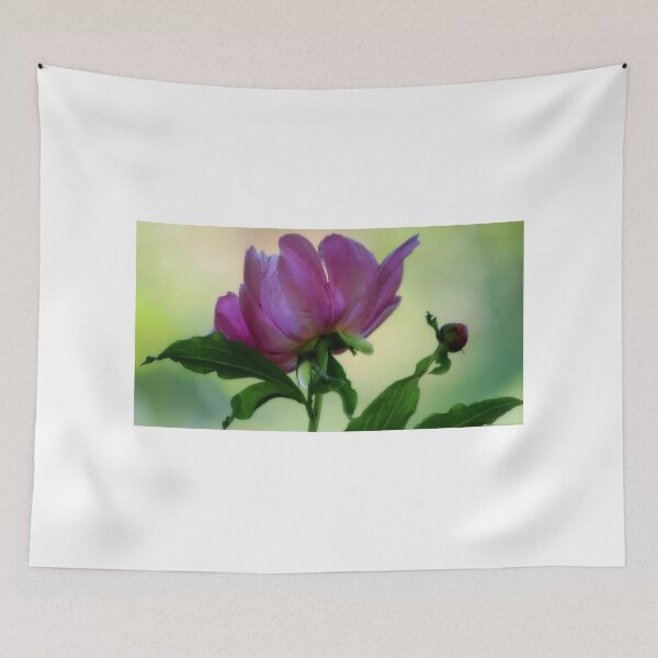 Item preview, Peony - Soft Light designed and sold by T.J. Martin.