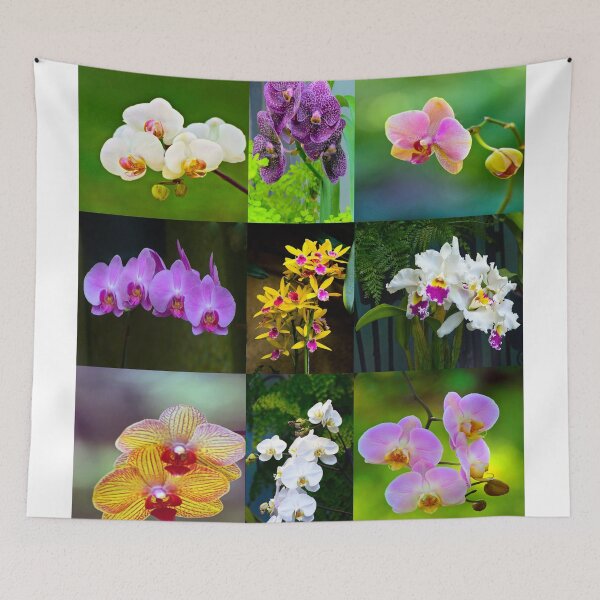 Item preview, Elegant Orchids designed and sold by ginawaltersdorf.