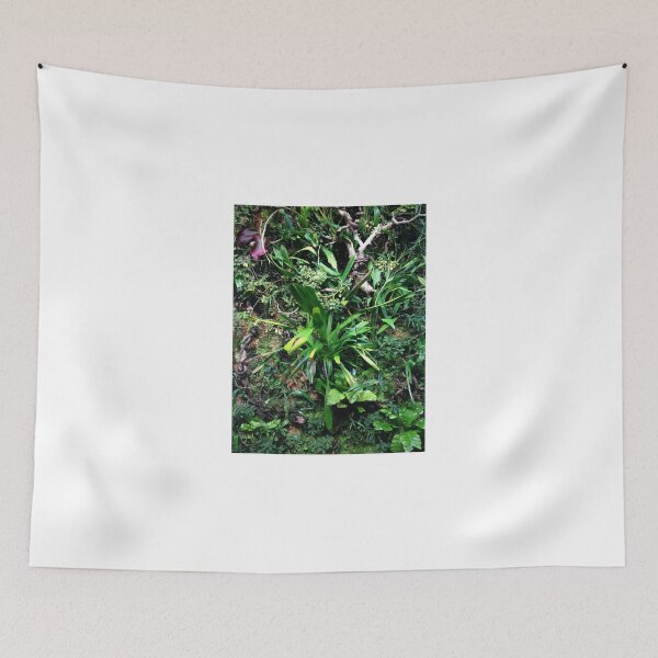 Item preview, Rainforest Plants designed and sold by Kat Murphy-Nemsik.