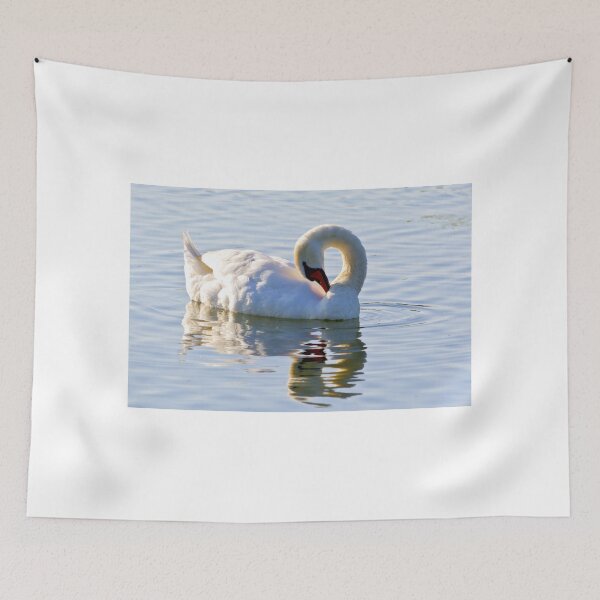 Item preview, Mute swan 2 ( Cygnus olor ) designed and sold by MarekM.
