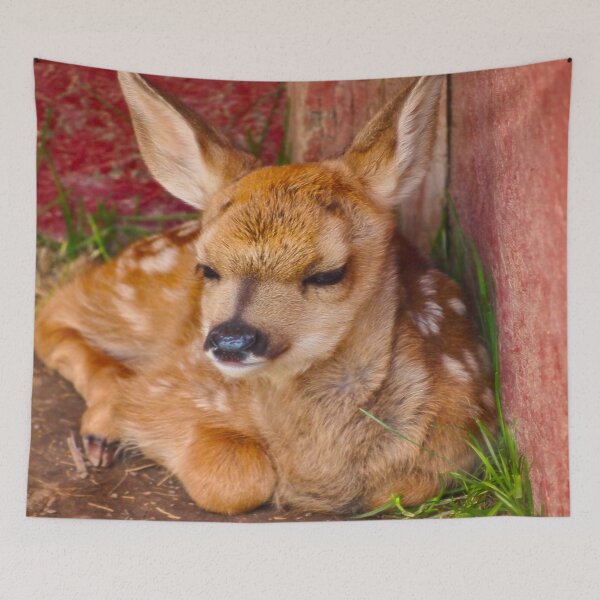 Item preview, Rexburg Idaho - Baby Fawn designed and sold by IMAGETAKERS.