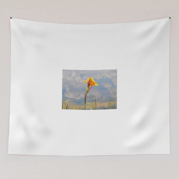 Item preview, Reflections designed and sold by Bill Colman.