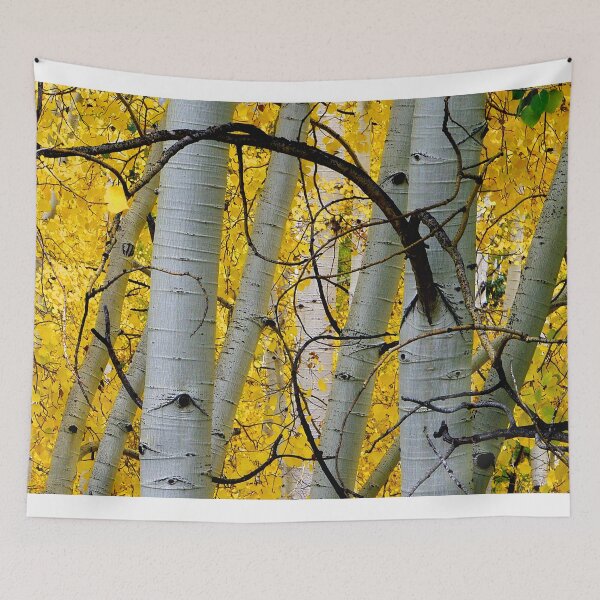 Item preview, Branches designed and sold by Gary Benson.