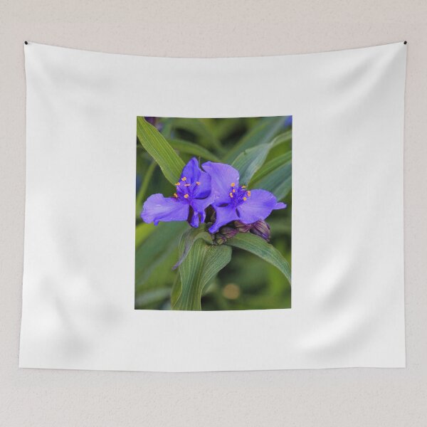 Item preview, Blue Spiderwort designed and sold by T.J. Martin.