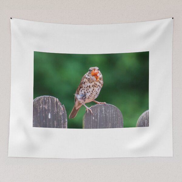 Item preview, song thrush (drozd śpiewak) designed and sold by Wizi-Top.