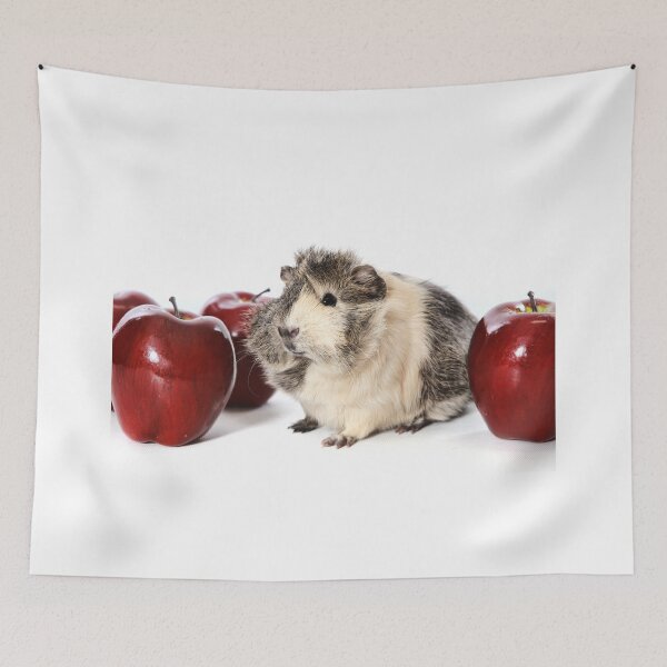 Item preview, Guinea Pig Love Apples designed and sold by Dagoth.