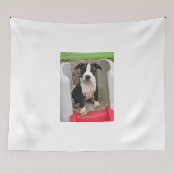 Item preview, My Name Is Panda designed and sold by Ginny York.
