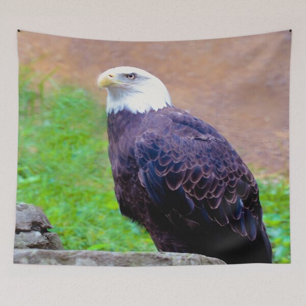 Item preview, Bald Eagle American Mascot designed and sold by ginawaltersdorf.