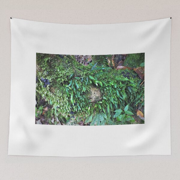 Item preview, By the walking track designed and sold by sandysartstudio.