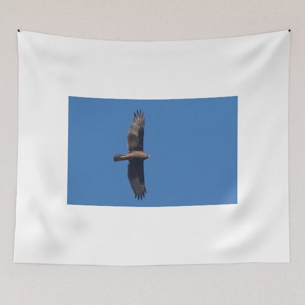 Item preview, Harrier Coming  designed and sold by byronbackyard.