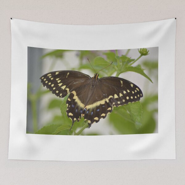 Item preview, Butterfly 6 designed and sold by Sunshinesmile83.