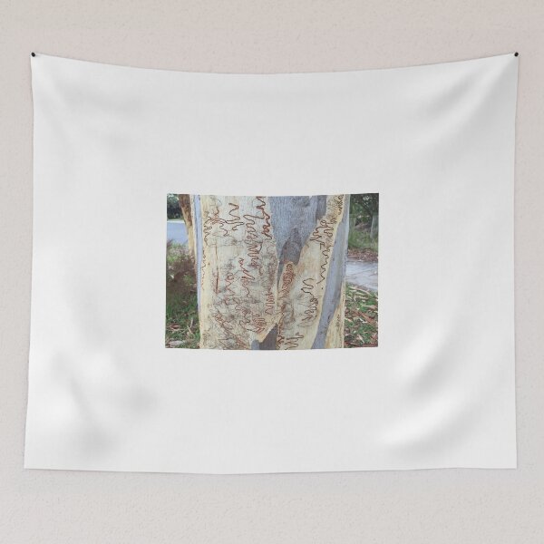 Item preview, Scribbly Gum (Eucalyptus haemastoma) designed and sold by Red Wolf.