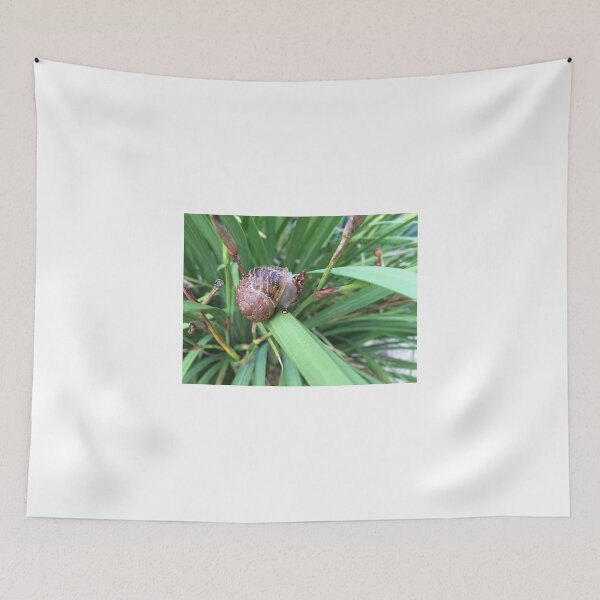 Item preview, Snail designed and sold by Red Wolf.