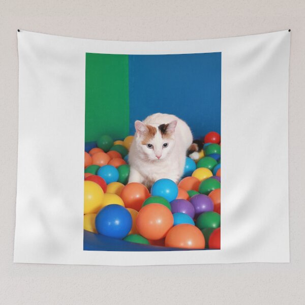 Item preview, Cat Playing in balls designed and sold by Dagoth.