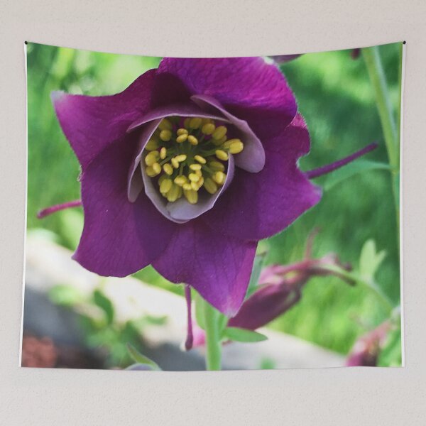 Item preview, Opening designed and sold by Holly Werner.