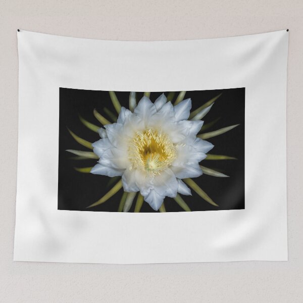 Item preview, Hylocereus designed and sold by Mario Morales Rubi.