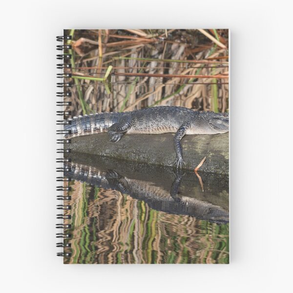 Item preview, A Young Alligator Getting Some Afternoon Sun designed and sold by Susan Wallace.