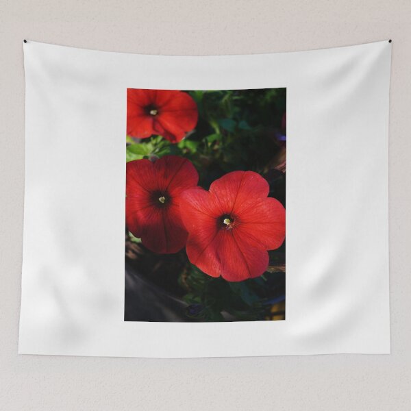 Item preview, Bold designed and sold by Rodney Williams.