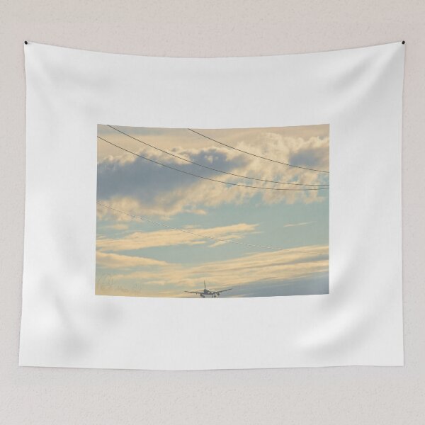 Item preview, Plane Landing on my Frame designed and sold by ArmandoLeGrande.