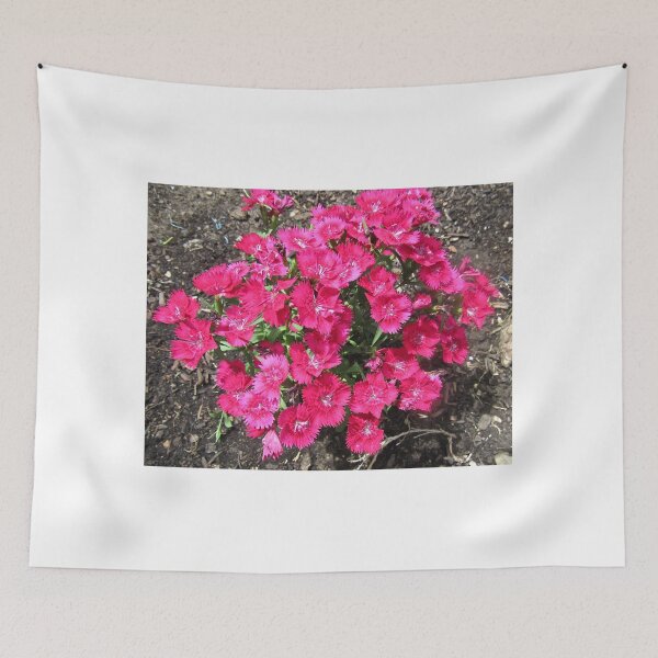 Item preview, Pinks designed and sold by Shulie1.