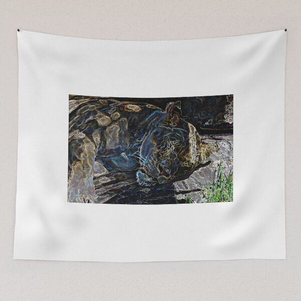 Item preview, Sleeping Lioness Aura designed and sold by ChadKroll.