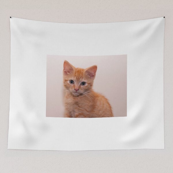 Item preview, A very cute ginger kitten designed and sold by Chris Ware.