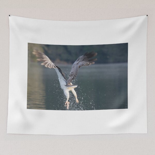 Item preview, The Sea-eagle Shake designed and sold by byronbackyard.