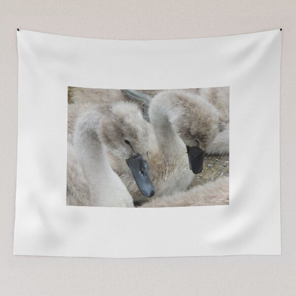 Item preview, Beautiful Cygnets designed and sold by widdy170.