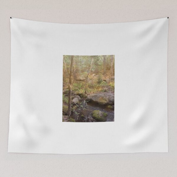 Item preview, Fairies in the Woods designed and sold by reh037.