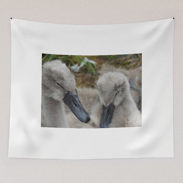 Item preview, Beautiful Cygnets  designed and sold by widdy170.