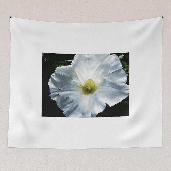 Item preview, Bold Macro Detailed White and Yellow Flower designed and sold by Jess Harrison.
