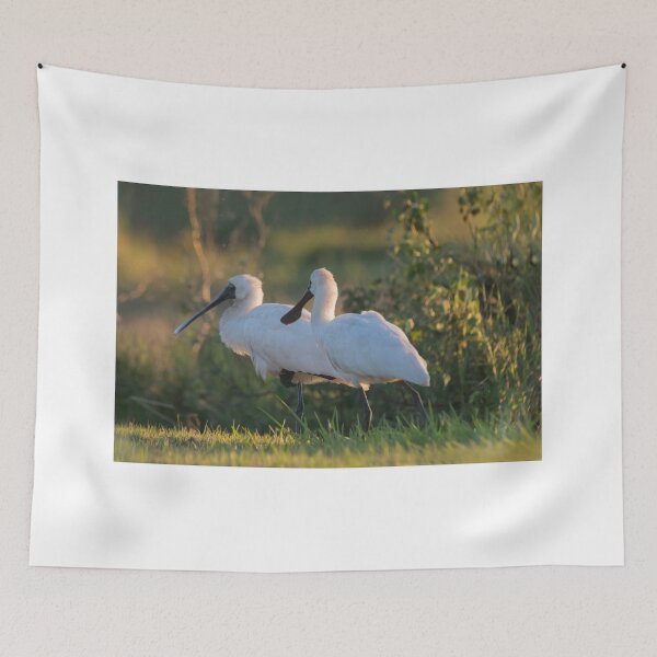 Item preview, Sunset Old Men designed and sold by byronbackyard.