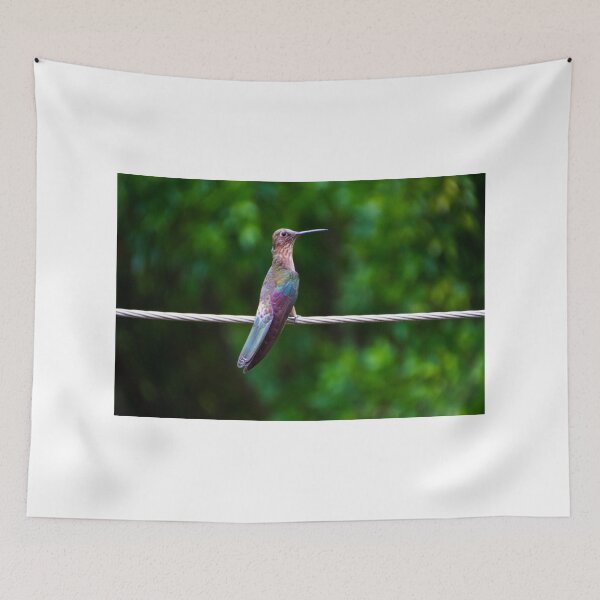 Item preview, Meet Andrea The Giant designed and sold by alabca.