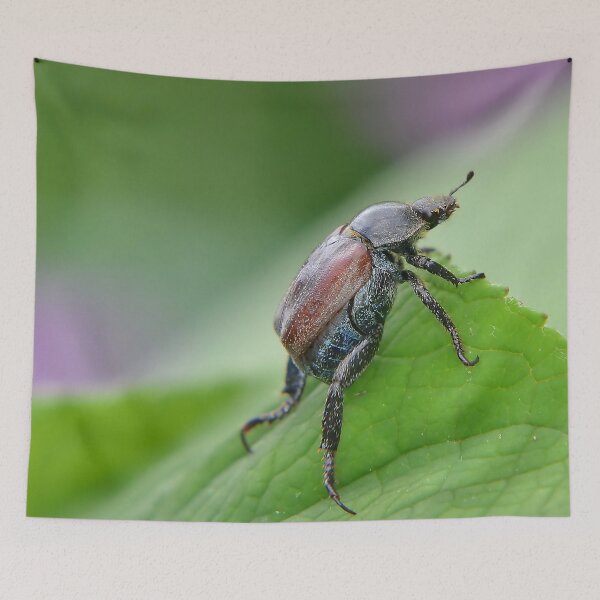 Item preview, Welsh Chafer designed and sold by relayer51.