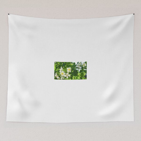 Item preview, Sunlit roses designed and sold by Shulie1.