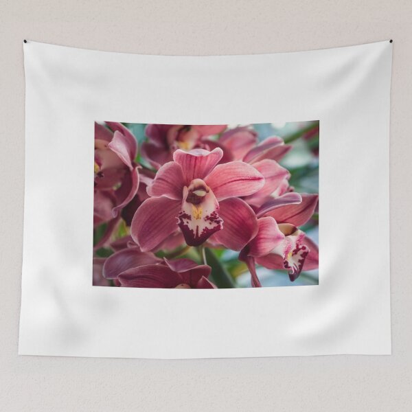 Item preview, My Orchids 3 designed and sold by RGKphotos.
