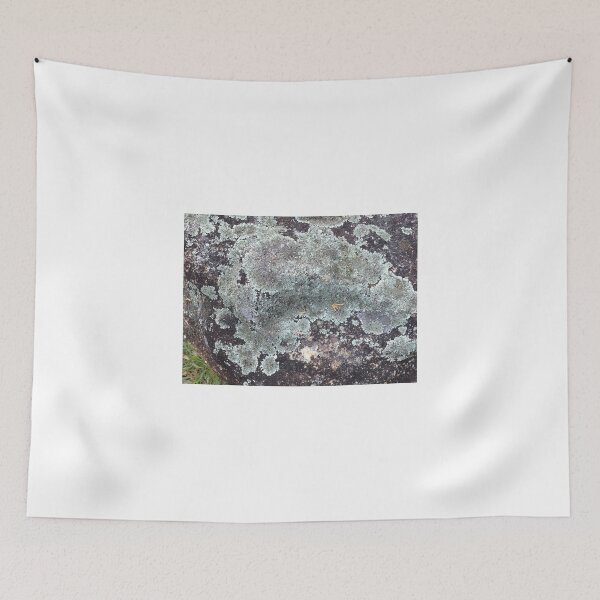 Item preview, Lichen designed and sold by Red Wolf.