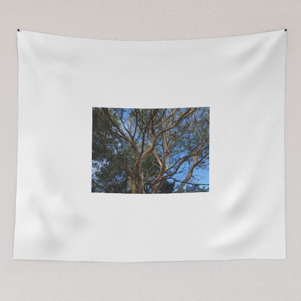 Item preview, Scribbly Gum (Eucalyptus haemastoma) designed and sold by Red Wolf.