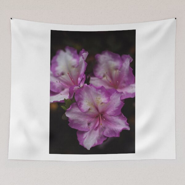 Item preview, Azalea Flowers designed and sold by Joy Watson - Natural Light Photography .