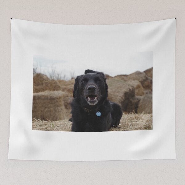 Item preview, Dog on Hay designed and sold by GeorgeSears.