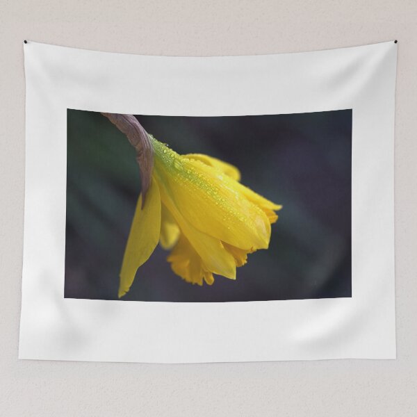 Item preview, Daffodil Rain designed and sold by Joy Watson - Natural Light Photography .