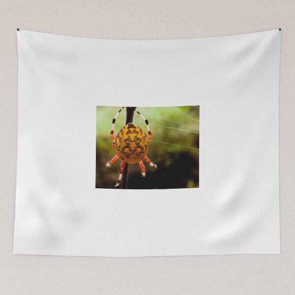 Item preview, Yellow Orb Spider designed and sold by Joe Saladino.