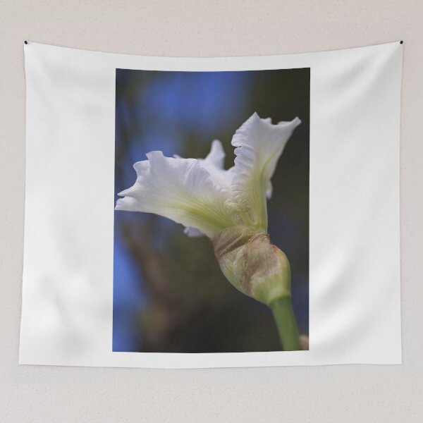Item preview, Iris White designed and sold by Joy Watson - Natural Light Photography .
