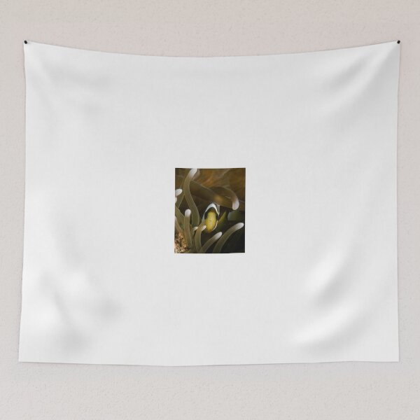 Item preview, Clownfish Peeking Through Anemone designed and sold by Brent Barnes.