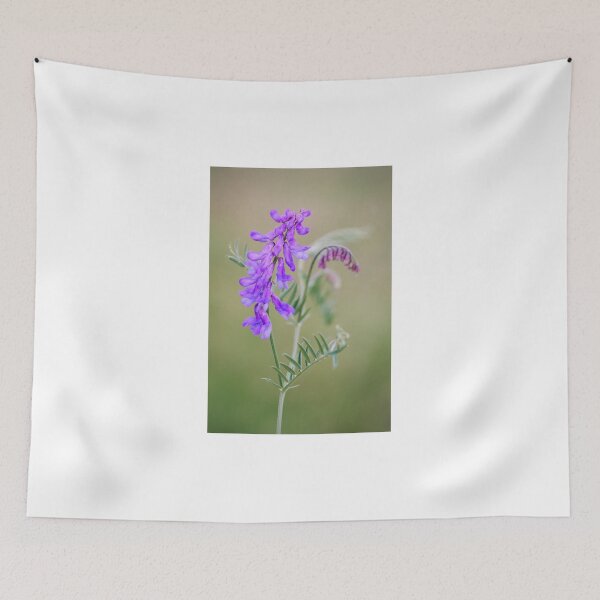 Item preview, Vetch 2 designed and sold by JEZ22.